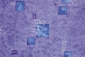rotato image
