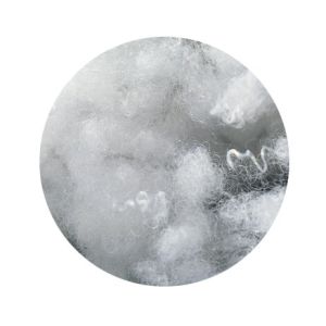 rotato image